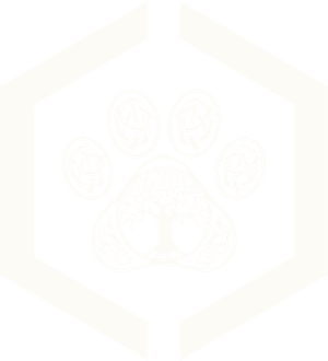 Celtic Corgis